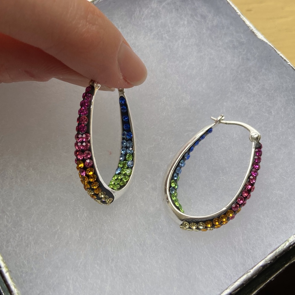 Gorgeous Rainbow Earrings